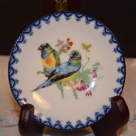 miniature parrots plate vintage mini bird  shellysselectsalvage etsy vintage vintage etsy