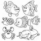 Fish Clipart Animals Ocean Animal Coloring Pages Water Fishs Cartoon Cute Sea Drawing Clip Hmong Illustration Vector Outline Kids Color sketch template