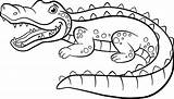 Alligator Coloring Cute Pages Animals Little sketch template