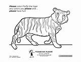 Please Coloring Say Designlooter Sheet Kyle Webster Tiger 19kb 1395 sketch template