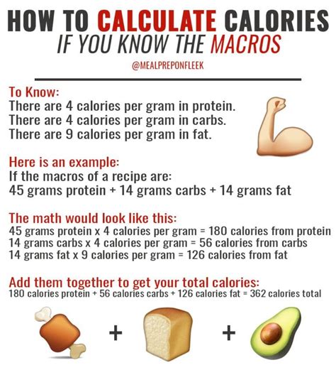 macros macro nutrition nutrition calculator macros diet