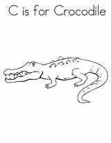 Crocodile Coloring Pages Tock Tick Croc Sheet Template Utilising Button Print sketch template
