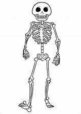 Hotel Transylvania Coloring Pages Skeleton sketch template