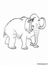Mammoth Pages Coloring Getcolorings sketch template