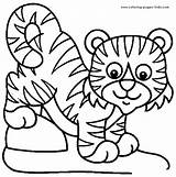 Coloring Pages Tiger Lion Animal Color Tigers Pets Exotic Lions Cup Kids Printable Sheets Found Good Extension sketch template