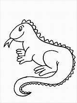 Iguana Coloring Preschool Pages Coloringbay sketch template