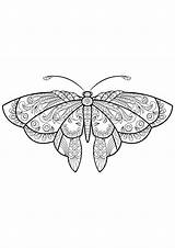 Coloring Papillon Motifs Insectos Insekten Erwachsene Insectes Justcolor Jolis Coloriages Insetti Papillons Colorare Insects Malbuch Adultos Adulti Disegni Adultes Mariposas sketch template