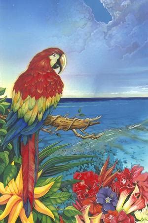 parrot dice print  scott westmoreland  allposterscom