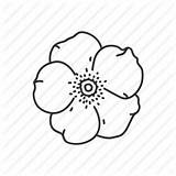 Rose Cherokee State Georgia Flower Drawing Symbol Icon Usa Drawings Icons Getdrawings Flowers Paintingvalley sketch template