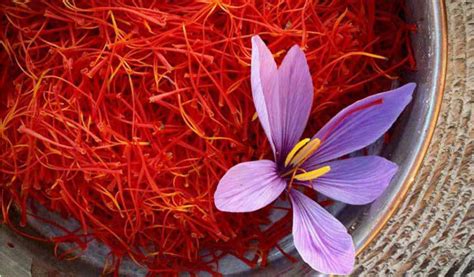 quality  gram organic saffron  usacommerce