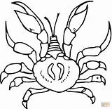 Crab Coloring Pages Printable Crabs Kids Adult Print Bestcoloringpagesforkids Book Crustacean Drawing Sheets Choose Board sketch template