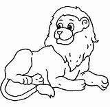 Lions Coloring Pages Print Coloringkids sketch template