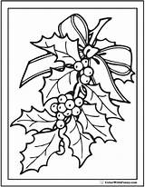 Holly Coloring Christmas Pages Drawing Berry Leaf Berries Color Printable Colorwithfuzzy Sheets Print Book Ornaments Sheet Holiday Getdrawings Xmas Flower sketch template