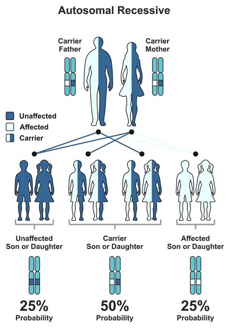 Whats In Your Genes Why Genetic Carrier Screening Is Requested By