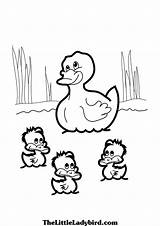 Duckling Coloring Getdrawings sketch template