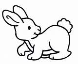 Kleurplaten Conejos Konijnen Konijn Kaninchen Ausmalbilder Kelinci Malvorlagen Hase Mewarnai Animasi Lapins Bergerak Lapin Hasen Malvorlage Coelho Coloriage Bunny Imprimer sketch template
