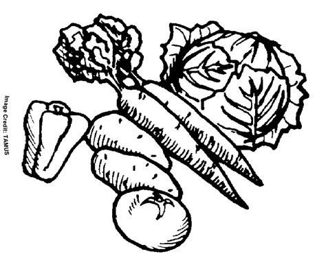 printable vegetable coloring pages coloring home