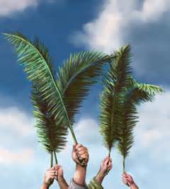 sermonview palm branches