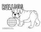 Coloring Bulldog Pages Dog Cute Boxer Puppy Drawing French Bulldogs American Color Dogs Puppies Breed Printable Colouring English Sheets Hard sketch template