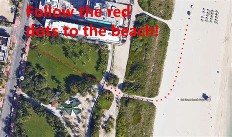 Shane Molinaro Miami Beach Massage Therapy Red Dots Miami Massage