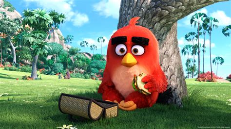 angry birds  sequel  coming