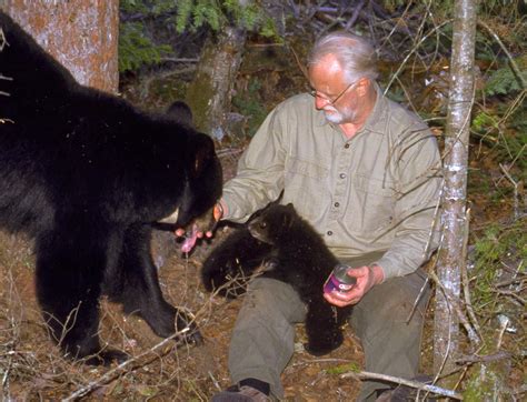 What If I Get Between A Black Bear Mother And Her Cubs
