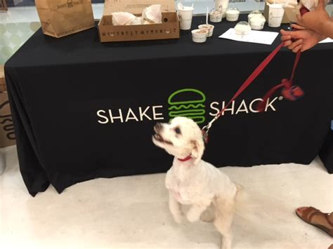 healthy spot and shake shack come together for yappy hour hedonist