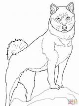 Coloring Shiba Inu Pages Dogs Akita Dog Super Color Printable Supercoloring Drawing Van Kunst Line Animal Book Print Adult Silhouettes sketch template