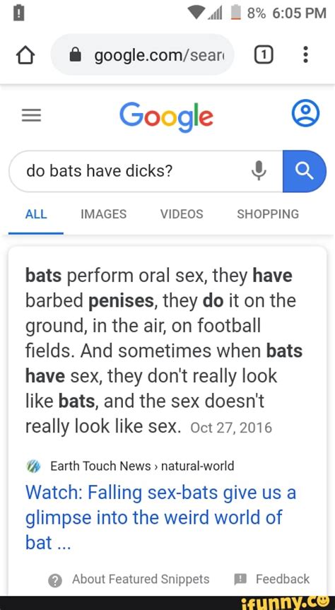 bats perform oral sex they have barbed penises they do