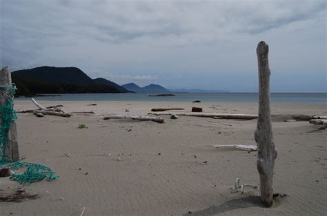 local west coast beaches image visit port hardy