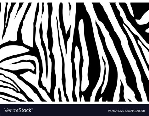 zebra stripes pattern royalty  vector image