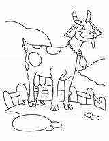 Goat Coloring Pages Goats Farming Boer Cute Farm Colouring Cartoon Color Printable Colorir Para Getcolorings Colorluna Billy Animals Sheets Animal sketch template