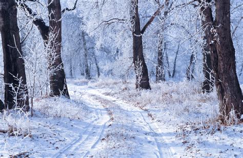 winter landscape  stock photo public domain pictures