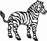 Zebra Coloring Pages Stripes Zebras Clipart Printable Clipartmag Clip Getdrawings sketch template