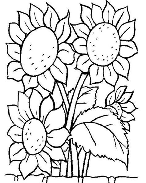 fall flowers coloring pages printable sketch coloring page