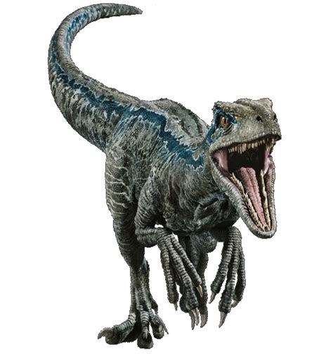 Fallen Kingdom Blue The Velociraptor V2 By Sonichedgehog2 On Deviantart