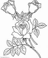 Coloring Pages Roses Hearts Popular sketch template