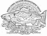 Pages Salmon Keystone sketch template