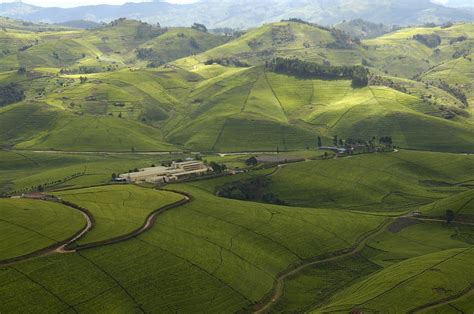 rwanda land   thousand hills focolare movement