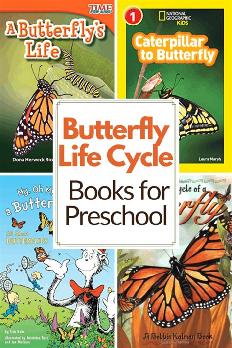 butterfly life cycle books  preschoolers