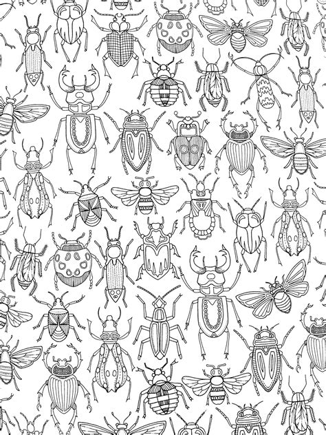 bug coloring pages  adults freeda qualls coloring pages