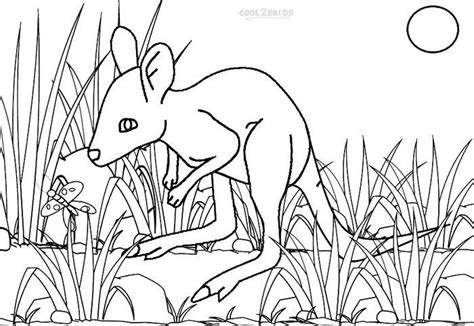 kangaroo coloring pages   kids coloringfoldercom animal