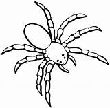 Spiders Hulk Spide Dangerous Bestcoloringpagesforkids Via Tarantula Netart sketch template