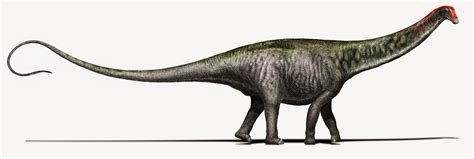 scientists resurrect  brontosaurus    bit  bone magic