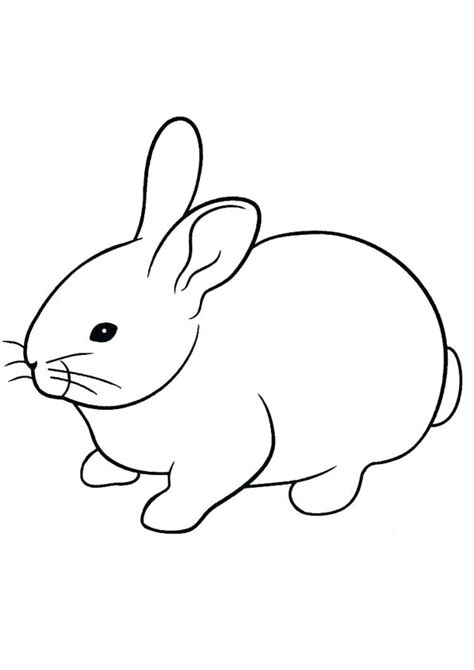 coloring pages cute printable rabbit coloring page