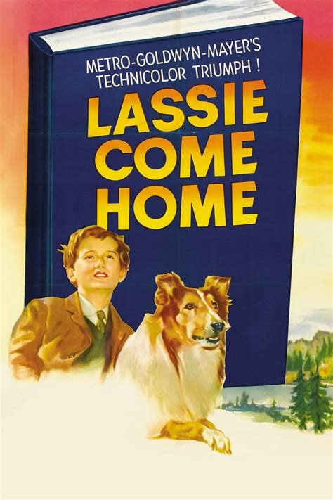 La Fidèle Lassie Film Réalisateurs Acteurs Actualités