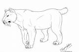 Coloring Tiger Saber Pages Tooth Cat Smilodon Template Print Big Sabertooth Toothed Color Deviantart Google Templates Tail Female Sketch Androgynous sketch template