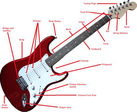 guitar electric parts diagram
