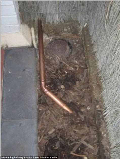 poor plumbing may put south australian homeowners lives