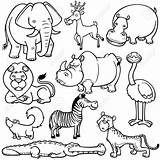 Selvagens Animados Zoologico Sauvages Salvajes Figuras Desenhos Wilde Tekenfilms Zoológico Stockillustratie Sararoom Ilustração Infantil Recortar Selvatici Animalitos Coloringcity Childrencoloring Myify sketch template